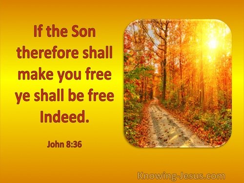 free-John 8-36